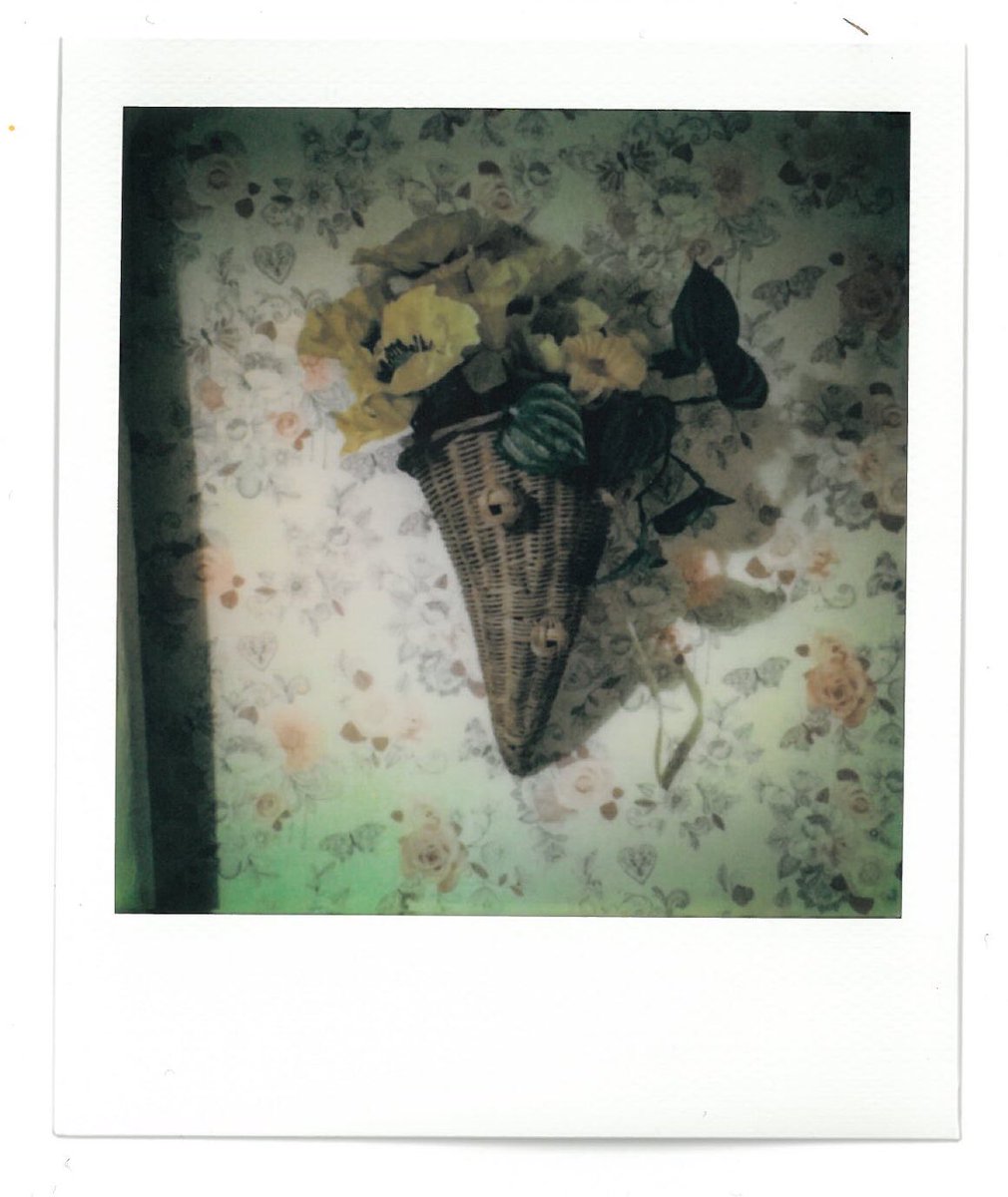 thefarm_carl's tweet photo. Mum’s #easter wall decorations.
#polaroid #polaroidcommunity #instantphotography #polazine #interoirdesign #onestepplus https://t.co/AXCdkrzdXV