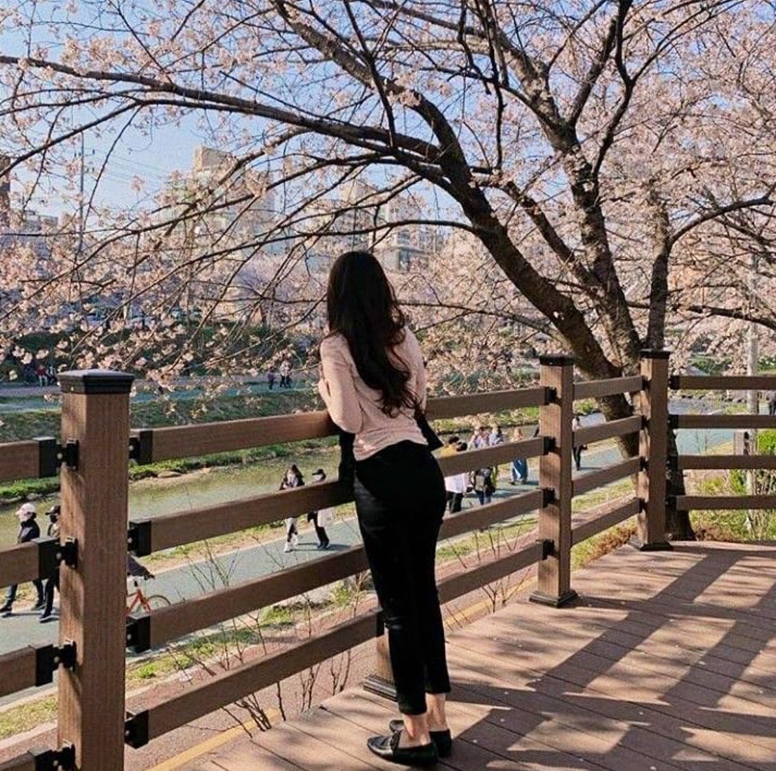 RespirerC's tweet photo. Весна в Корее #весна #корея #веснавкорее #korea #Spring #Springinkorea #aesthetic https://t.co/Z2J9pJtH65