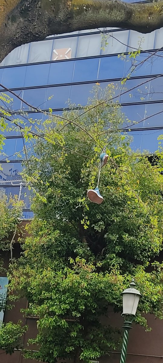 gabbagabbadrums's tweet photo. 靴落ちてた https://t.co/M1hHoH6fpj