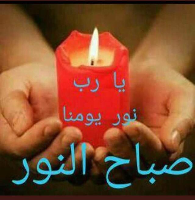 saso00961's tweet photo. @obeidmoni https://t.co/Fw2rUje27o