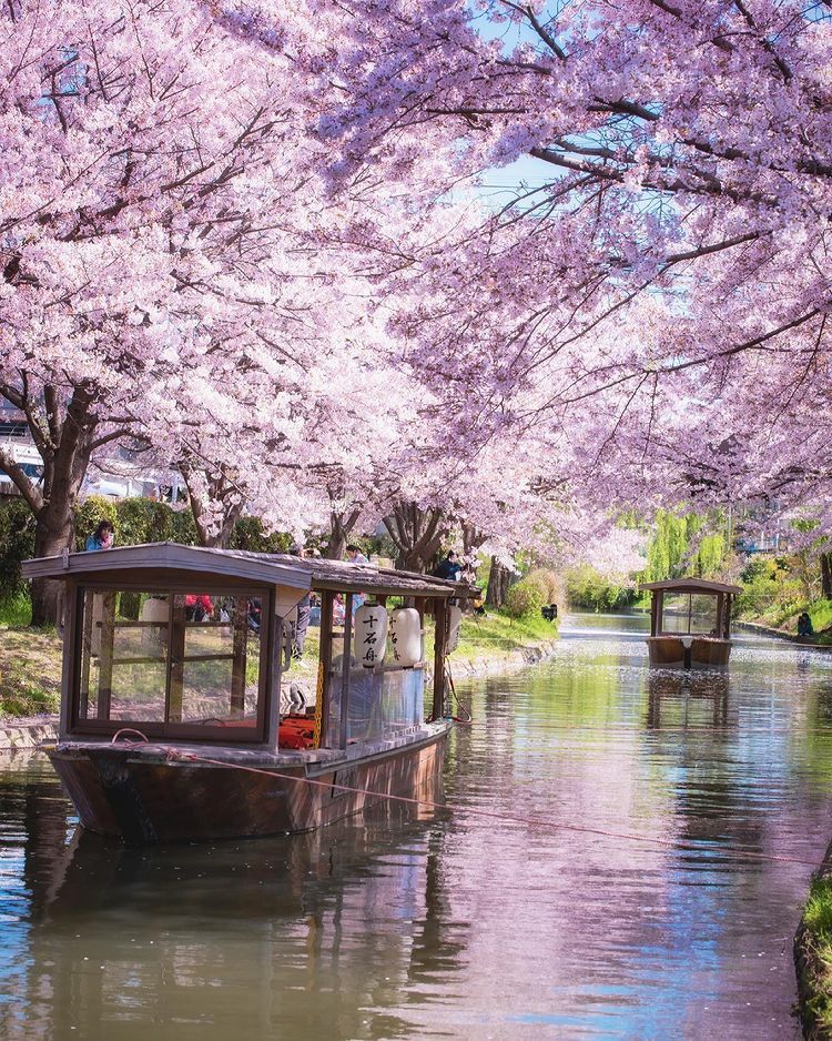 9GAG ❤️ Memeland on X: Sakura light reflected in the tunnel 🌸 📸 psl0504