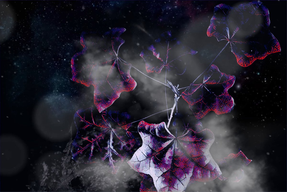 Inkotech1's tweet photo. Ready to test #Wallpapers #live #gif #nft collection at @opensea via my account #inkotech 
URBAN ORGANIC series
https://t.co/o90LcKiwx2… Hellios Sphere 001 NFT  #nftart #nft #nftcommunity #nft #collectors #nft #artist #nftherapysession #nftmagazine #nftgif #gif #cryptoart #NFT https://t.co/flXQWIaCQP
