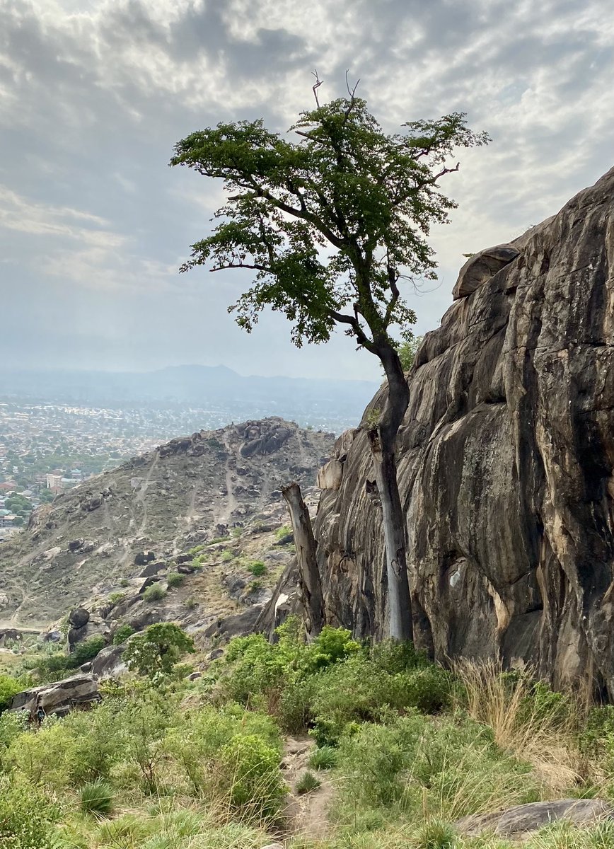 SivKaspe's tweet photo. Finally climbed Jebel this morning with friends and colleagues, feeling so blessed! Great to see so many youth spending their time exercising and enjoying this beautiful landscape in #Juba. https://t.co/iov08q8gzw