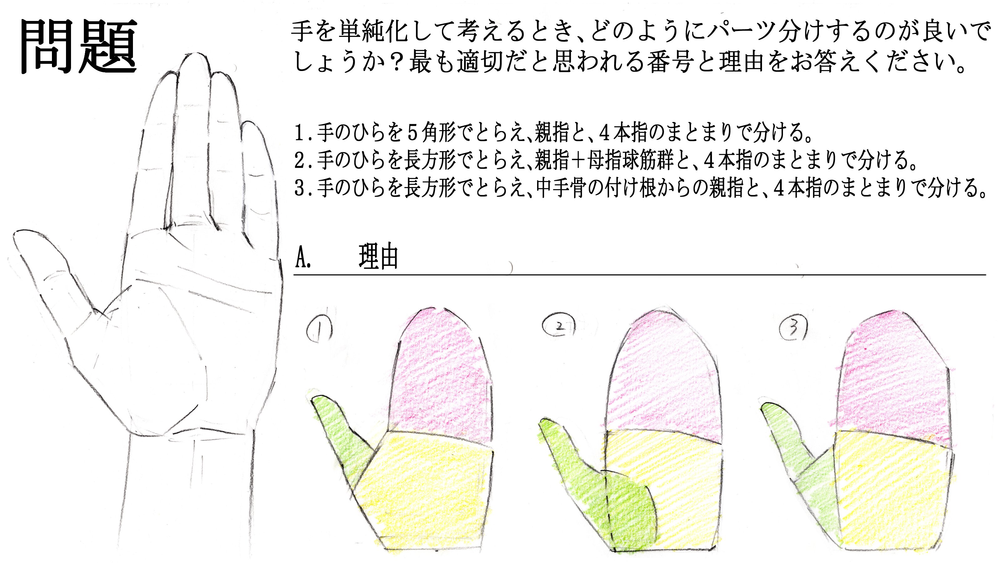 Hide Twitter પર 問題 手を単純化して考えるとき どのようにパーツ分けするのが良いでしょうか 最も適切だと思われる番号と理由をお答えください 答えと理由はyoutubeにて近日公開します T Co S5adw5hq6d クロッキー イラスト 落書き 絵描きさんと