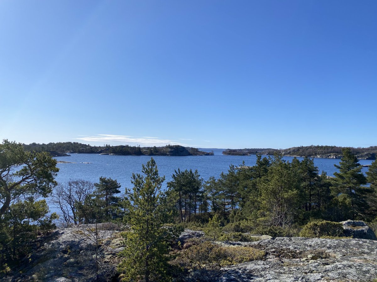 Satu Huber tweet media