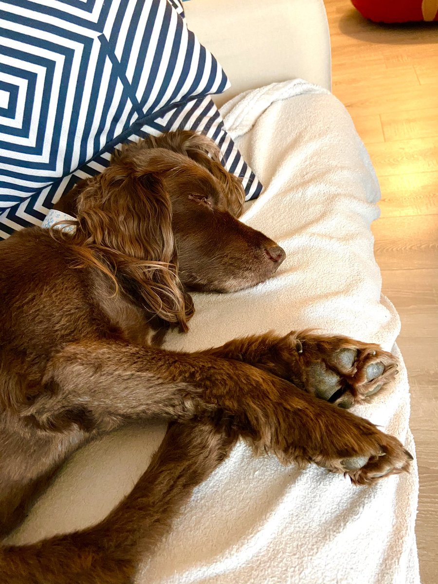 Adam Ellis tweet media