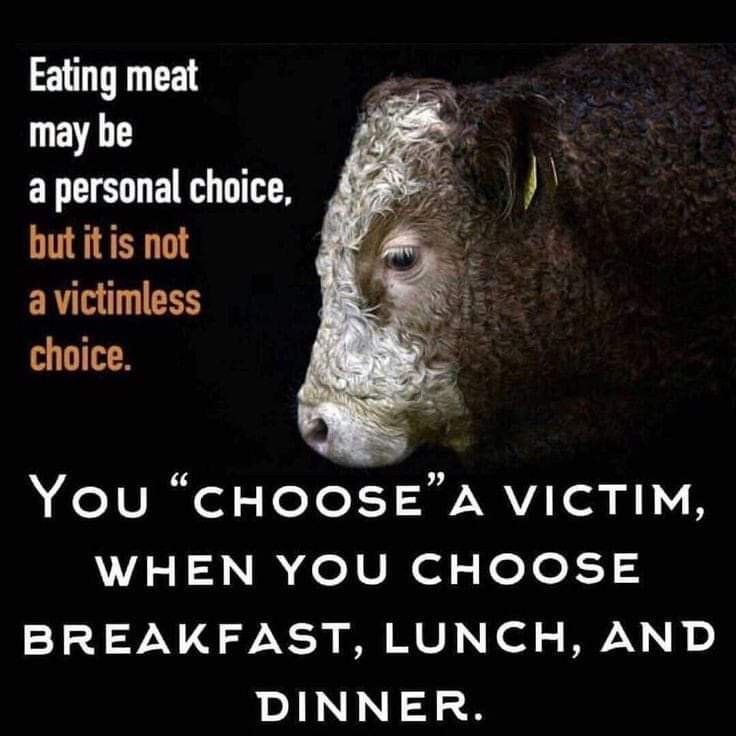 vvesog's tweet photo. Truth is👇🏿
#vvesog
#govegan
#veganfortheanimals
#veganism
#veganismdaily https://t.co/GebYvILvFt