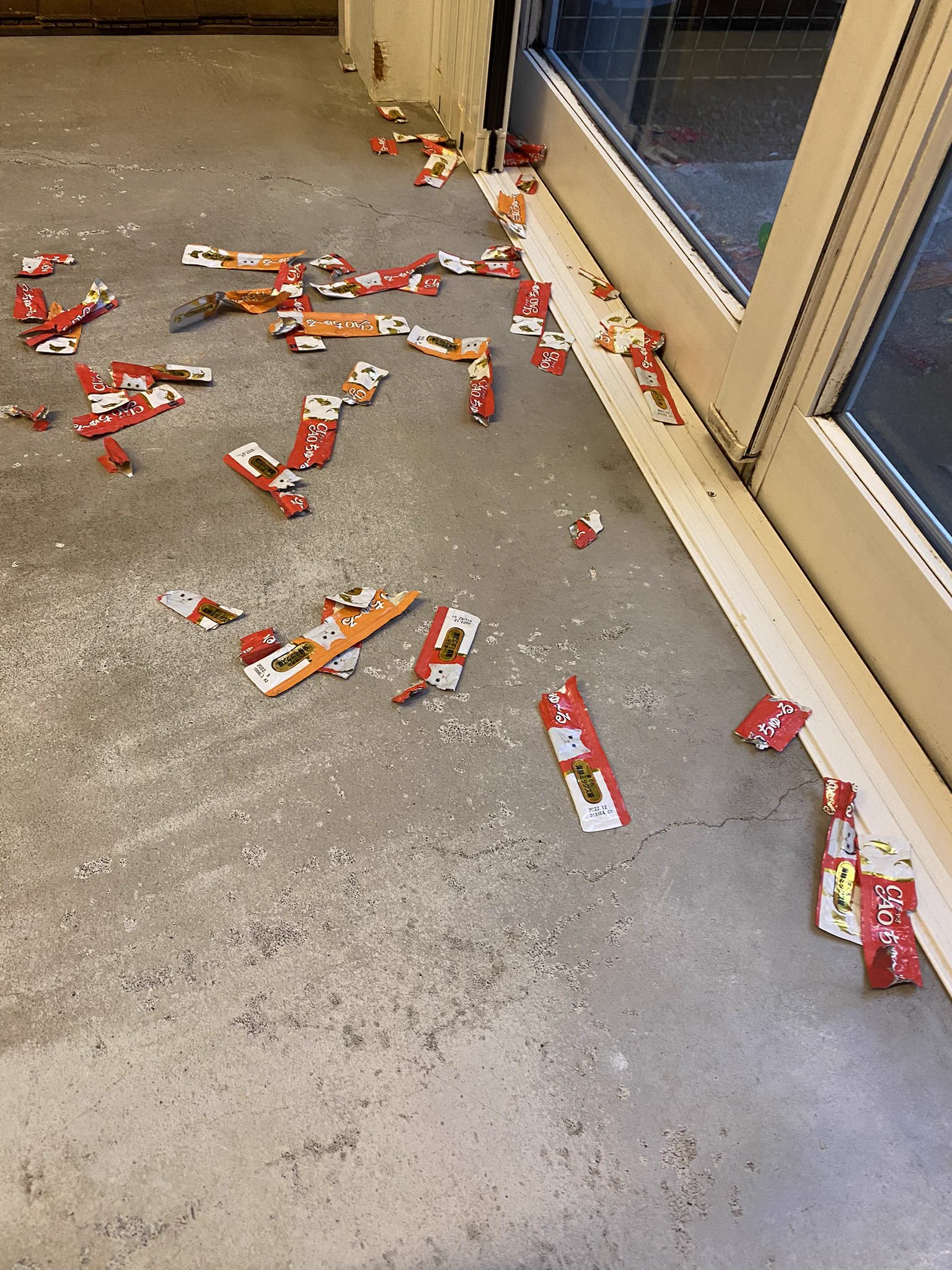 帰宅して出迎えてくれるはずの犬がハウスから出てこない！実は猫のおやつを食べてしまったのが原因なんですが、その量に驚きです！