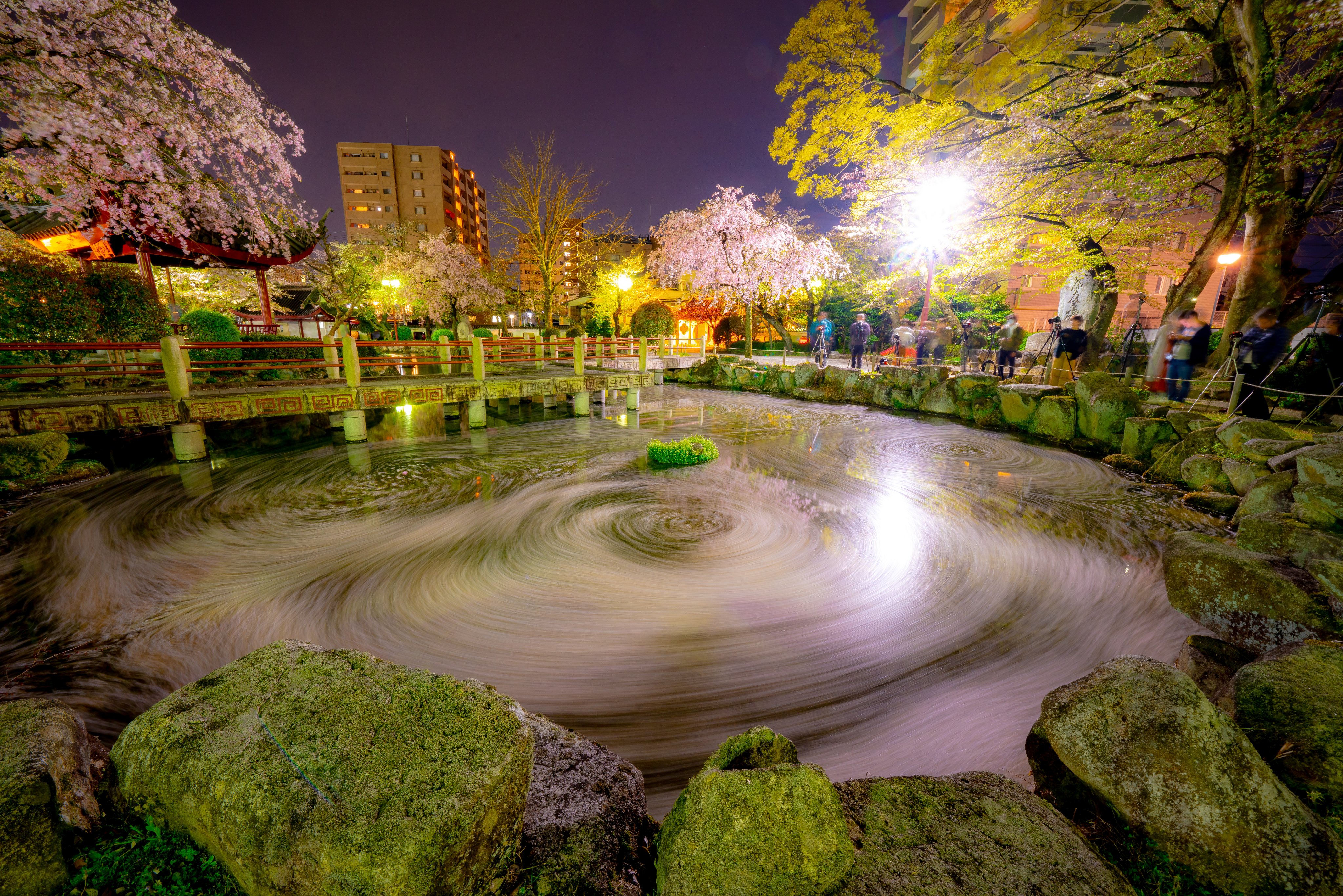 どらちゃん 桜 夜桜 岐阜公園 長時間露光が作る世界 T Co U4nukgb7yz Twitter