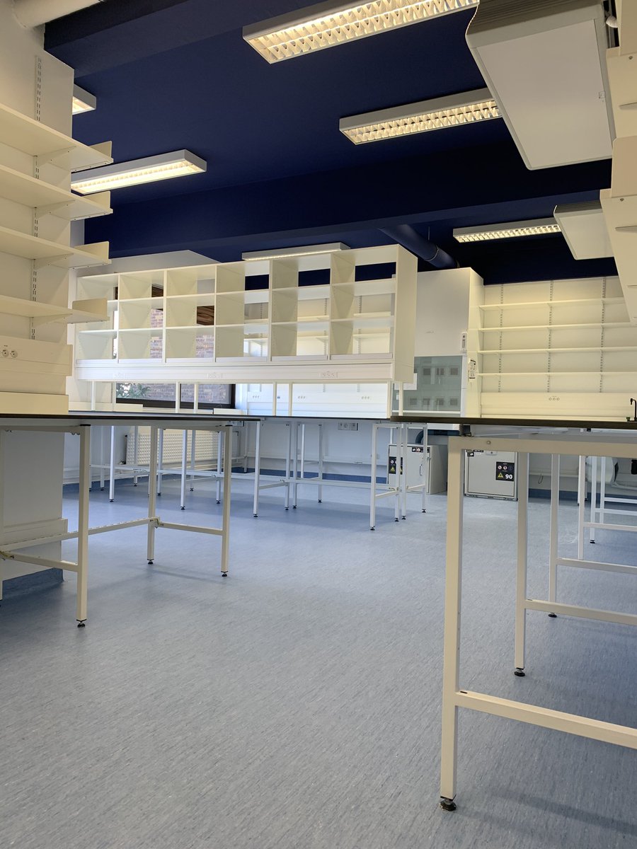 Aleks Deczkowska tweet media