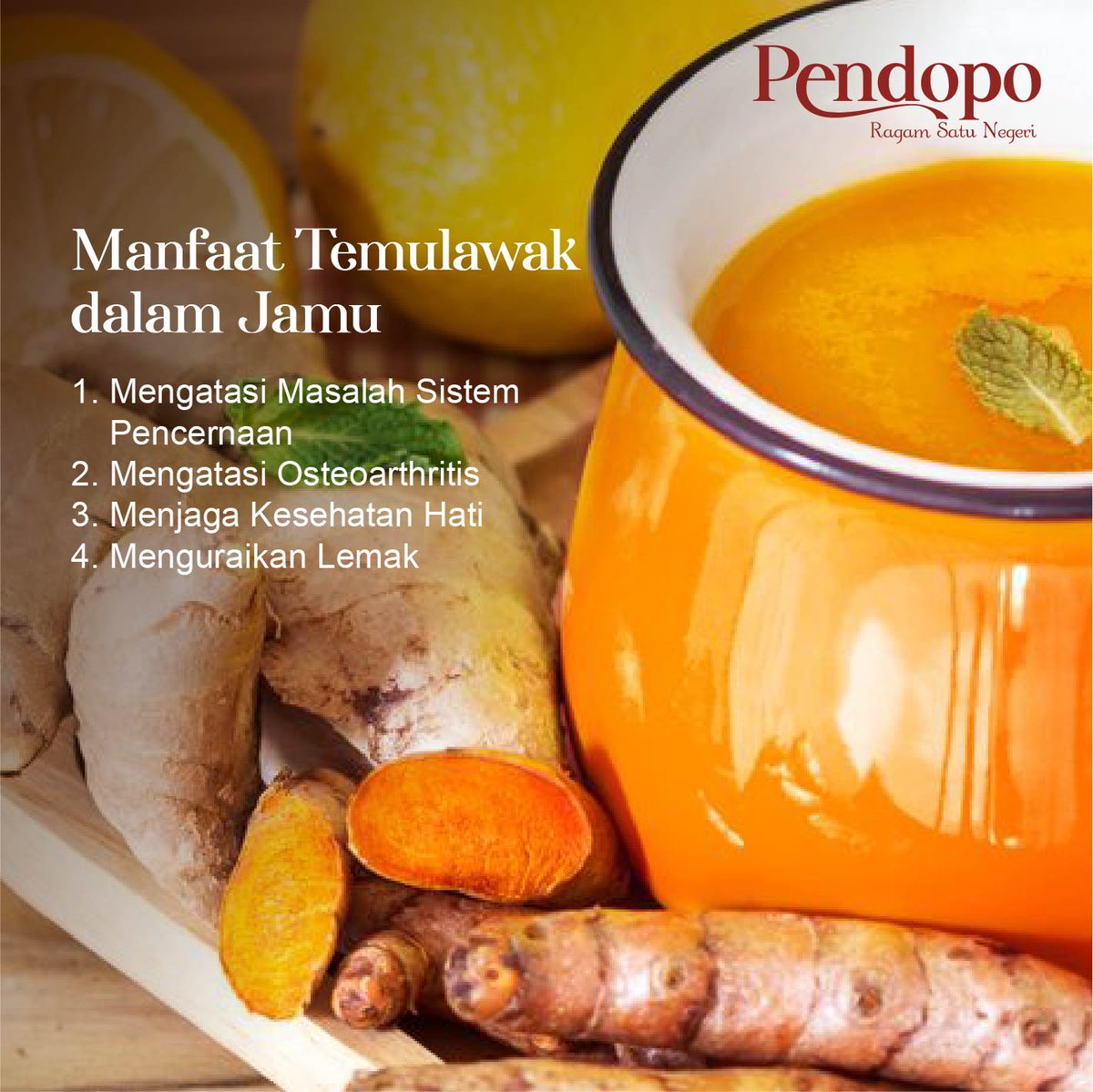 Temulawak adalah tanaman asli Indonesia yang bentuknya mirip dengan kunyit. Temulawak sudah cukup lama dikenal dan diketahui baik di dalam negeri maupun mancanegara. 

Jadi, apakah Anda sudah punya temulawak di rumah?

#pendopo #pendopoindonesia #temulawak #jamu #hidupsehat