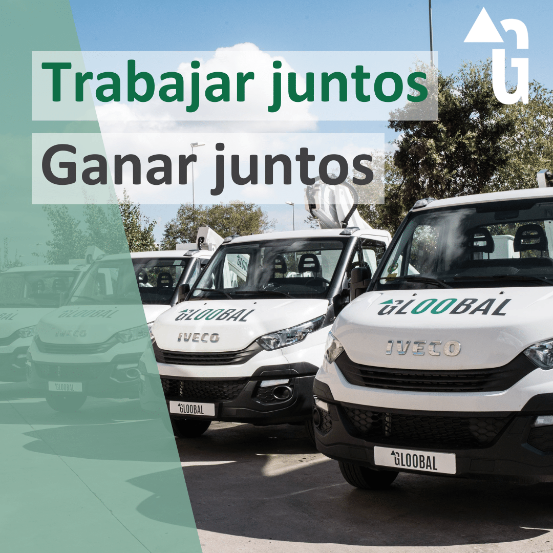 GloobalRenting's tweet photo. Trabajar juntos. Ganar juntos. 

https://t.co/OH725tyJgx

#GloobalTeam https://t.co/6WF0wKQArJ