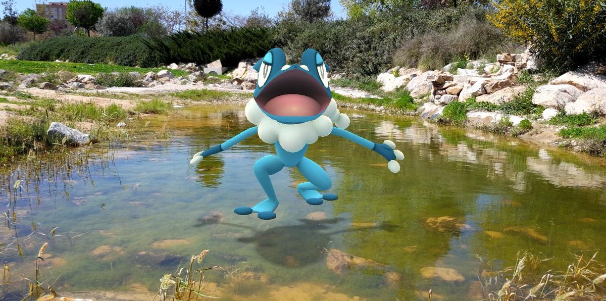 7Azzuen7's tweet photo. Ayer fue día de sacar a Froakie a pasear a una charca que conozco donde hay ranas y...sorpresa! Le gustó tanto que acabó evolucionando! #PokemonGo #froakie #frogadier #froag🐸 https://t.co/Mx3GIzYOOn