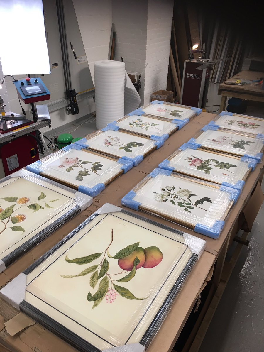 TheMasterframer's tweet image. 🌸 Botanical Art trending at Apple Frames this week. Must be the tantalising weather we’re experiencing 🥶 #bespokeframing #pictureframing #botanicalart #botanicalillustration #pictureframingdaventry #art