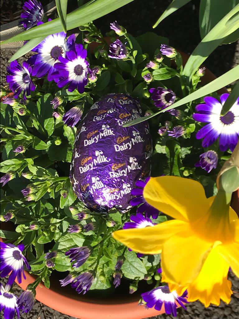Emmaeile's tweet photo. Let the hiding begin! 🥚 @CadburyIreland  raising vital funds for @Barnardos_IRL this Easter 🐣 

Upload your #ShowYouCareHideIt pic and text HIDEIT to 50300 to donate €4! https://t.co/bKti6fGWfX