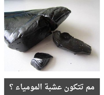 المومياء للعظام الحوائط الخرسانية المسلحة 3