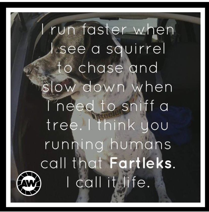 Lisa DH (@lisadh_75) on Twitter photo Fartlek run as part of my <a href="/AWRunFitness/">AW Running Fitness</a> plan. Got an unexpected PB. Boom ๐ฅ Just need to find an extra 48 seconds now to break the 30 minute barrier. <a href="/Rasselbock_Run/">Rasselbock Running</a> #morningcoffeerun Fartlek run as part of my <a href="/AWRunFitness/">AW Running Fitness</a> plan. Got an unexpected PB. Boom ๐ฅ Just need to find an extra 48 seconds now to break the 30 minute barrier. <a href="/Rasselbock_Run/">Rasselbock Running</a> #morningcoffeerun