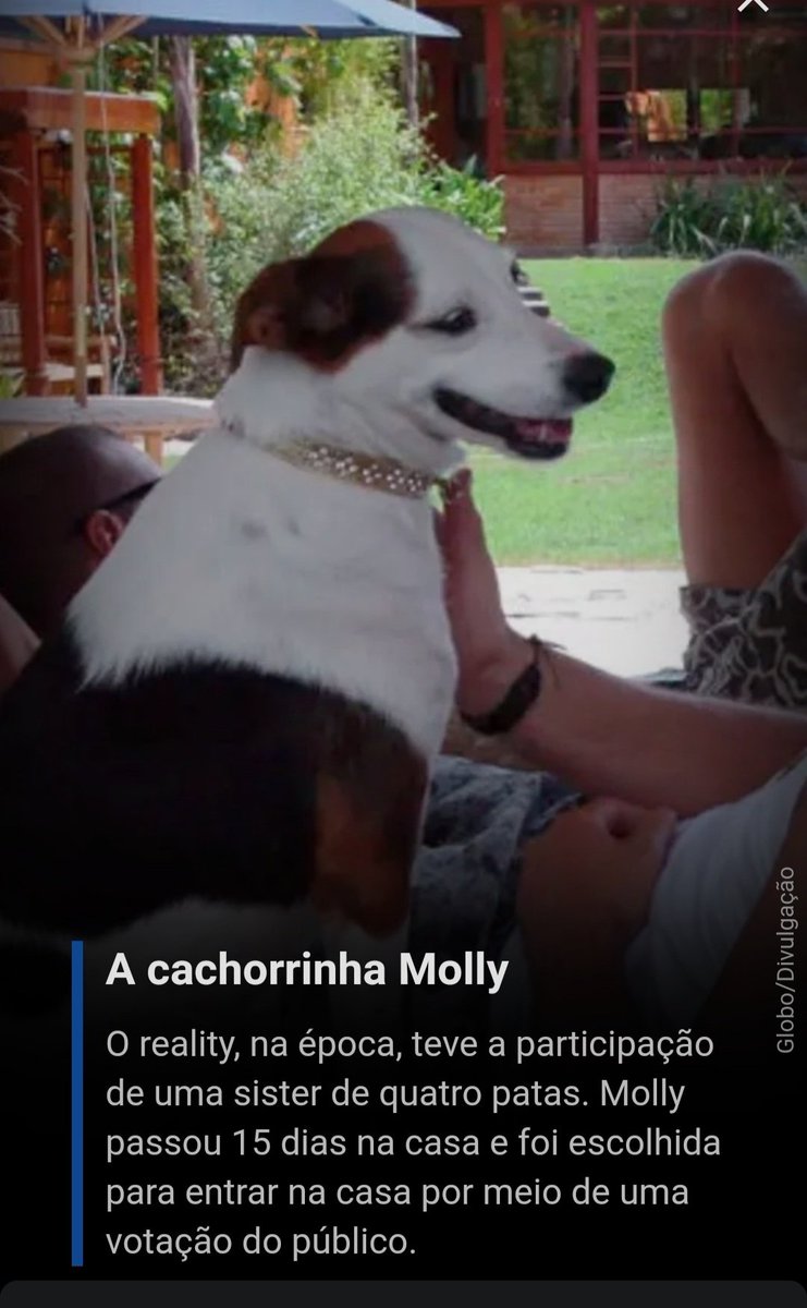 rebecadoherty's tweet photo. @boninho Pq nunca mais teve um dog na casa?? Ia ser lindo e no final ele poderia ser adotado! https://t.co/GThCFv2qpS