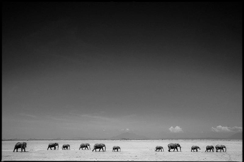 Laurent Baheux Photo tweet media
