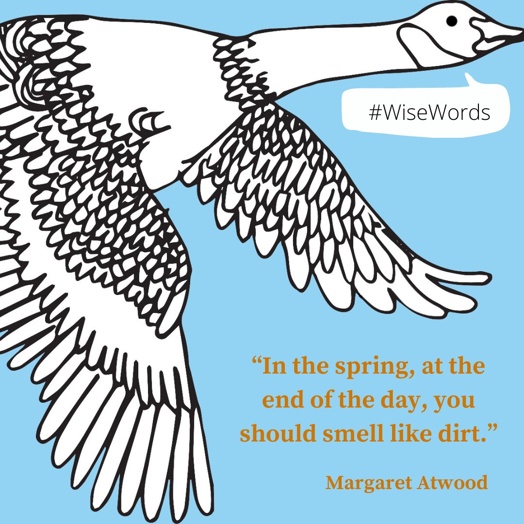 TheGEAcademy's tweet photo. WISE WORDS
Venture outside this Easter weekend and welcome in springtime...#goldeneggacademy #writingforchildren #wisewords #margaretatwood #inthespring #writingprompts #writingtips #writerscommunity #writerslife #childrensbooksmatter #writingworkshops #writingcourses https://t.co/aMF6tMdFFC