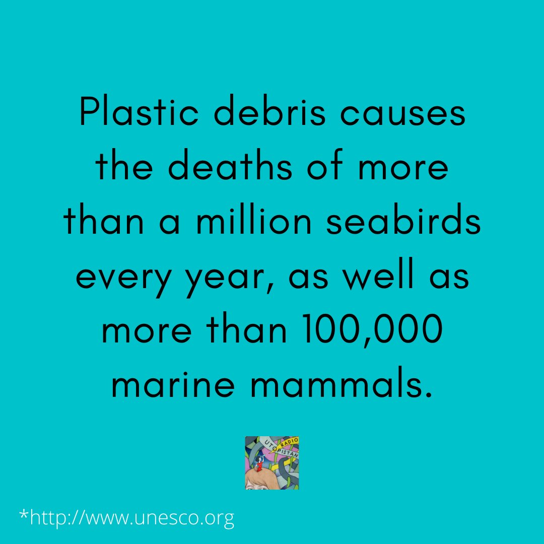utopistan's tweet photo. Today Radio Utopistan provides you with some facts about plastic in the oceans. 🥫🌊
In our next episode, which comes out on Thursday, we talk to people who are taking action against plastic pollution.
Stay curious!
#RadioUtopistan #Podcast #plasticpollution #plastic #plasticfree https://t.co/pon5ZIyBLt