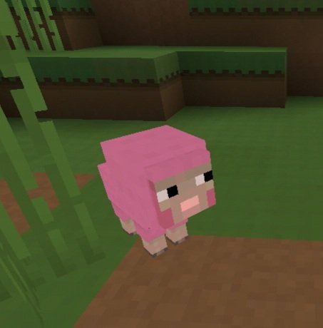 Pink sheep from minecraft