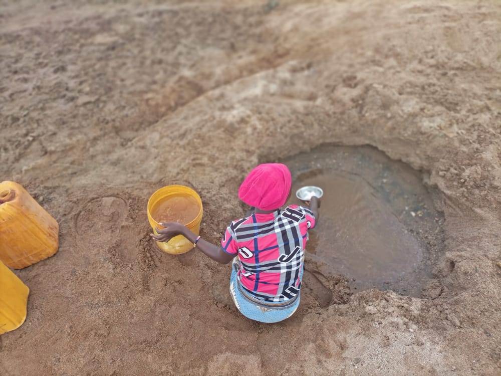 MustaphaBurhani's tweet image. You Might be surprised but this is drinking water in Godegode Village, Mpwapwa. 
In Sub-Saharan Africa, only 24% of the population have access to safe drinking #water, Over the Years Water Crisis has been Politicians Agenda in every election but we still witnessing these 😥.