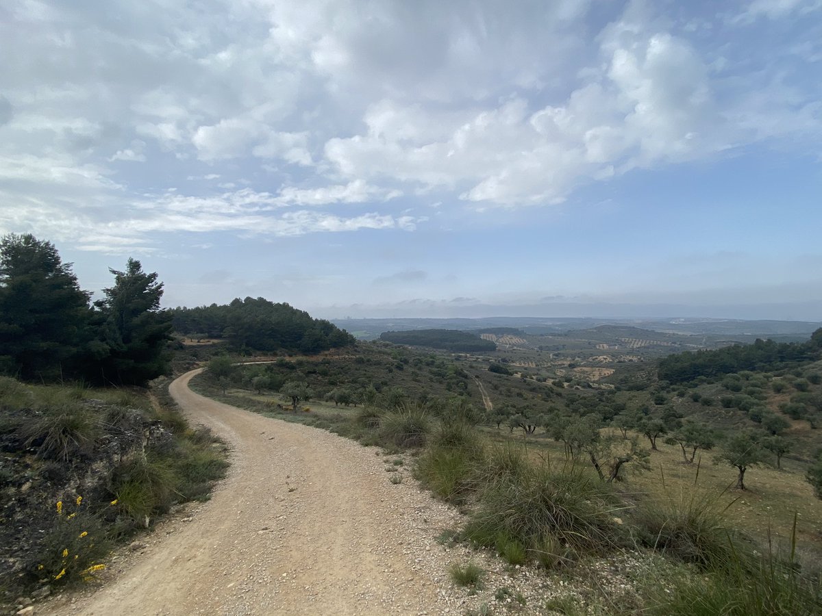 AlbBarrantes's tweet photo. Mañana disfrutona. 12 kilómetros de caminos y fotos. 
Respirando. Disfrutando. 
#Trail4Fun https://t.co/fTS6HdMO94