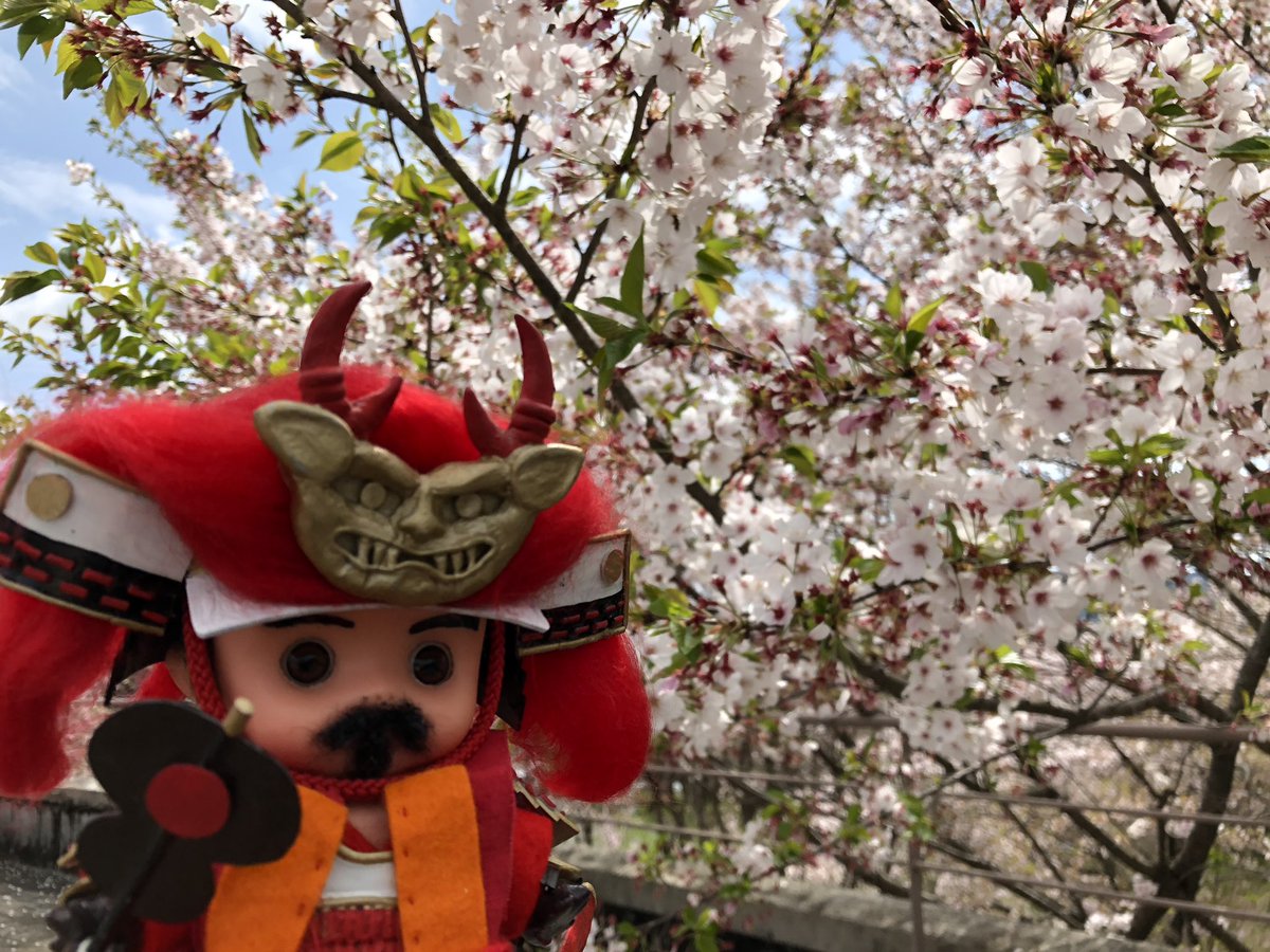 武田家滅亡 hashtag on Twitter