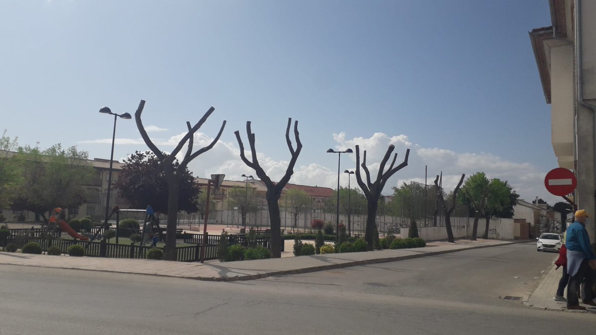 En todos los sitios igual. Baeza Jaén.