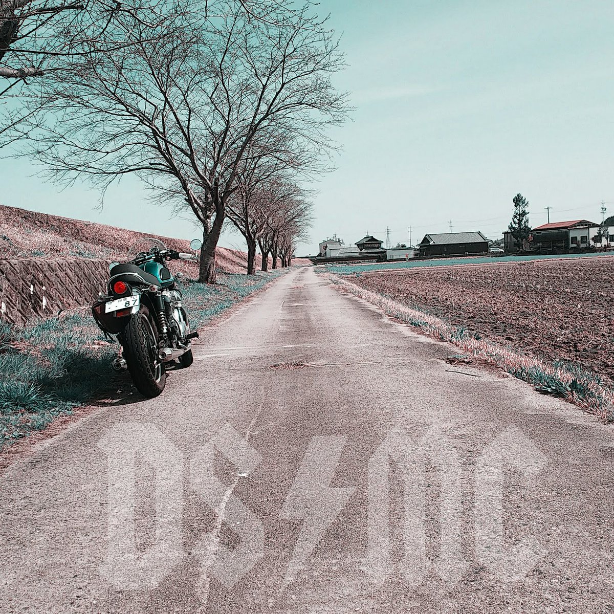 KRoughly's tweet photo. #DeadSilenceMotorcycleClub
@DeadSilenceMC 

            【部活】
     【先週の成果】

①雨でも雨でも☔️
②１本目の桜🌸
③対岸は無事🔥
④密林🌳 https://t.co/RxwR6GkH5Q
