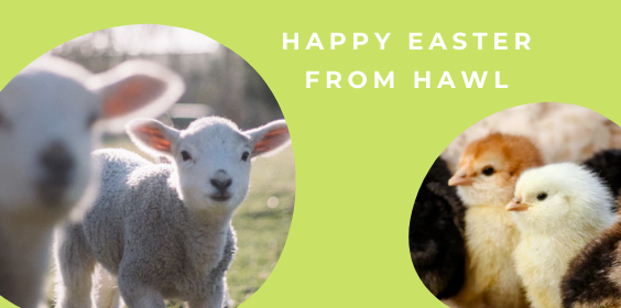 Easter Moos from HAWL to Ewe! 🐄 
Out latest newsletter is here. Click below to read it.
mailchi.mp/7e1e9c292163/e… Happy Easter from us all at Homeopathy at Wellie Level.