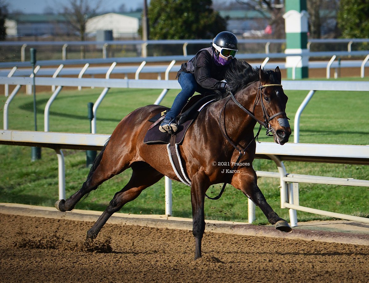 francesjkaron's tweet photo. I know most people think it's Blue Grass day at Keeneland, but at my house, the Blue Grass is an undercard race.

#boundfornowhere https://t.co/frKAfspJji