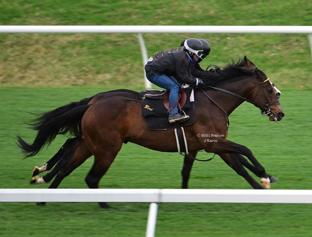 francesjkaron's tweet photo. I know most people think it's Blue Grass day at Keeneland, but at my house, the Blue Grass is an undercard race.

#boundfornowhere https://t.co/frKAfspJji