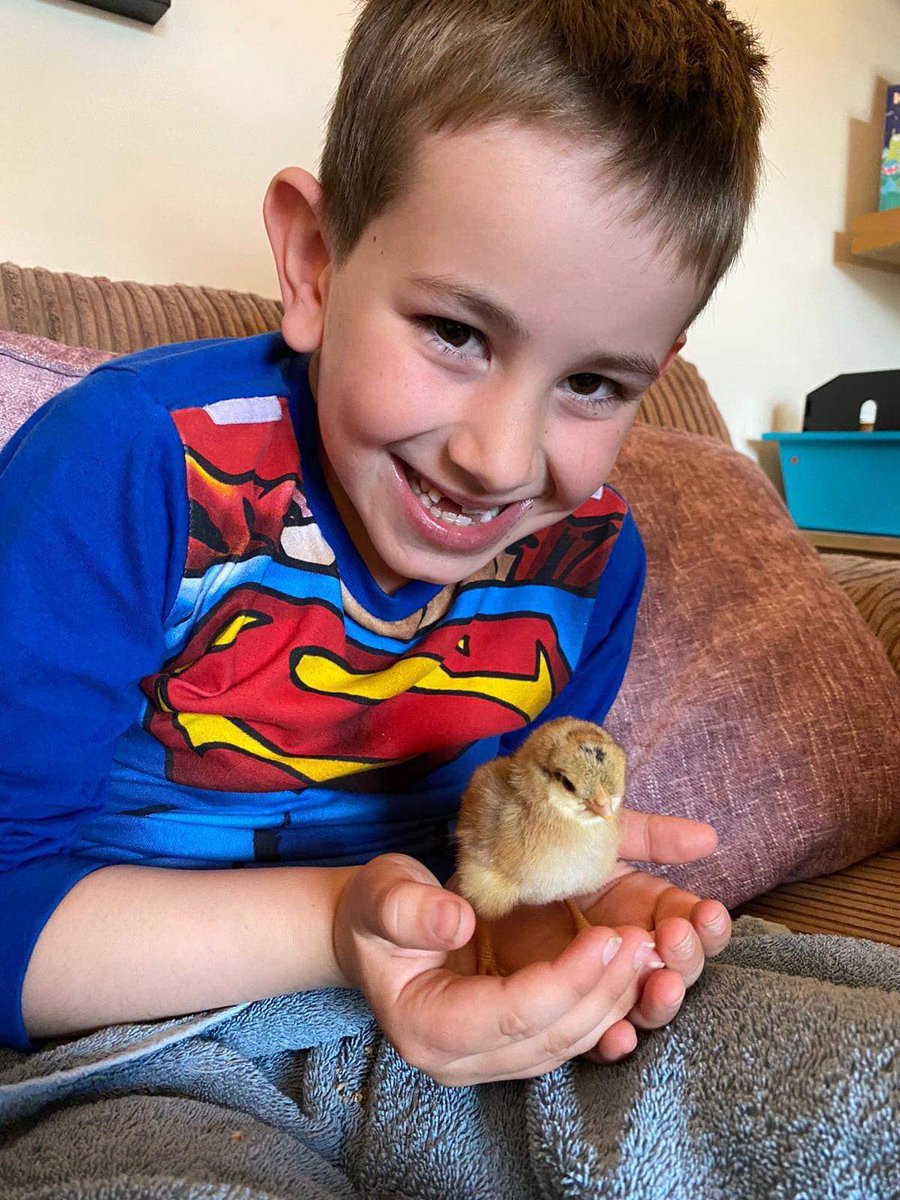 thehenhousefarm's tweet photo. #bestdaysofar #hensales #shoplocal #happyeaster #greatcustomers we’ve had a brilliant day selling incubator experiences, forever hens to families, starter kits to those new in the hobby and Hen&amp;Coop presents for many people. Let us help you into this amazing world. https://t.co/GWPMM6ZFUm