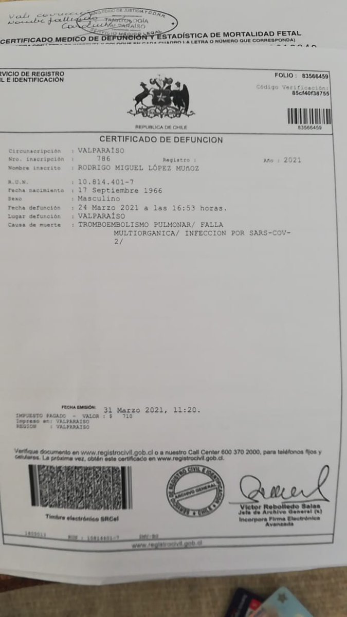 Ciudadano David López 🇨🇱☮️🇵🇸 tweet media