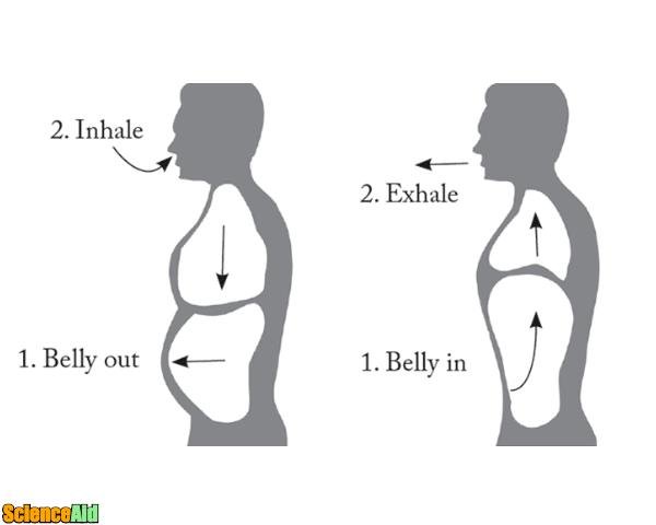 Confitalk tweet media