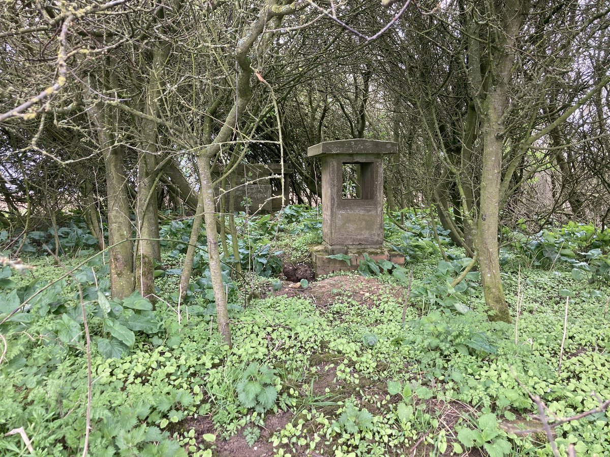 darth_feathers's tweet photo. Another wander to Holwell and back #springmyarse https://t.co/6Tf7eZcqIg
