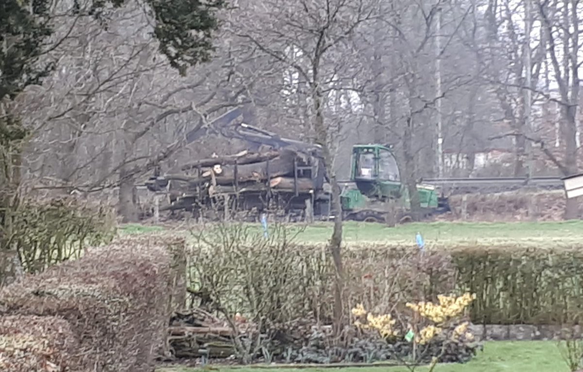 derWausV's tweet photo. @adfcdinvoe Musste das auch sein? https://t.co/tl8gMPKruo