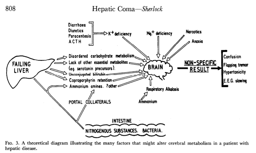 Hepatic encephalopathy in #cirrhosis: a conceptual model 

- Sherlock, 1958
#livertwitter
