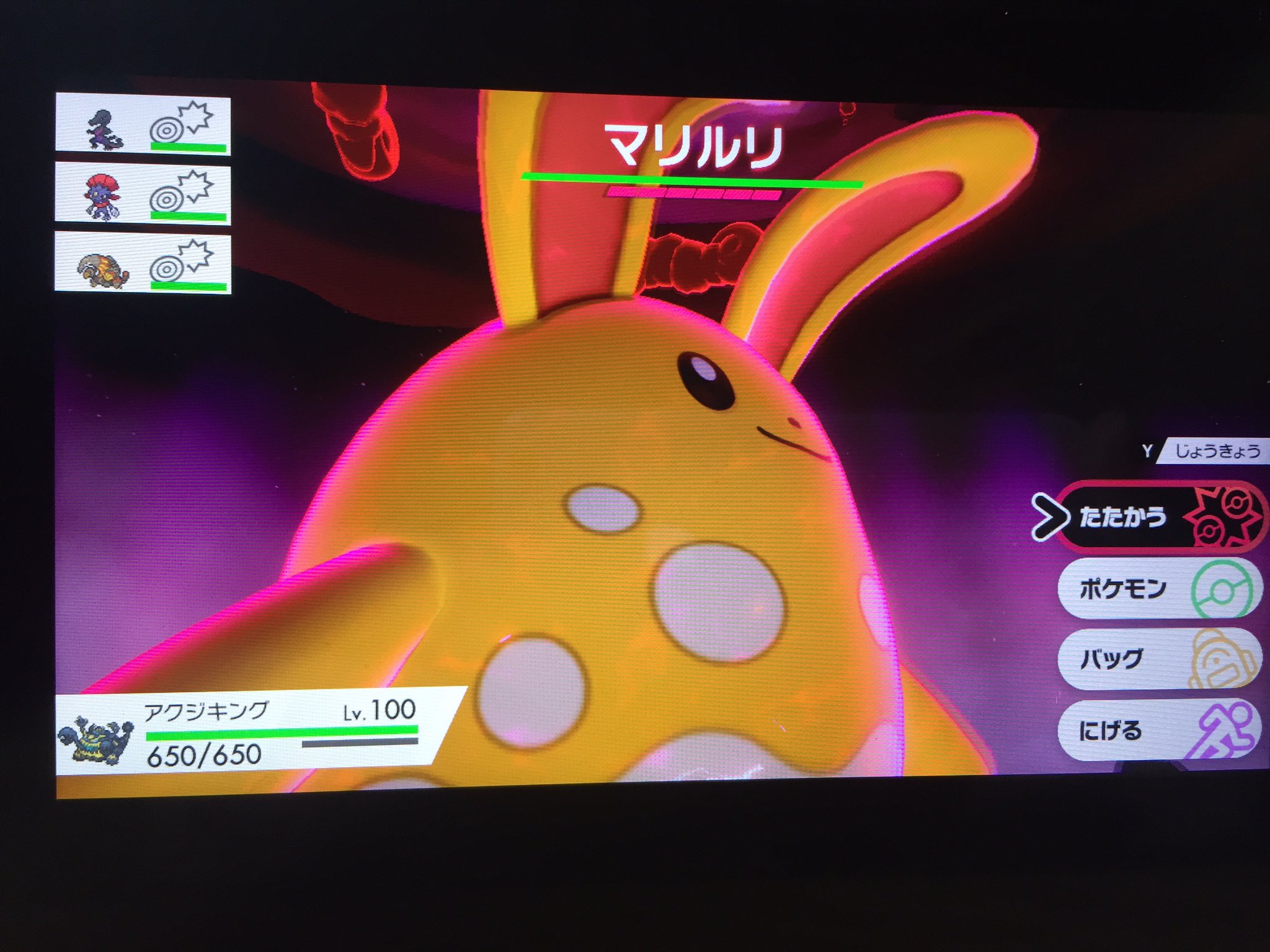よしあき うさぎポケモンレイドのやつ 運試しに1回だけやるかぁと思って潜ったら1発でマリルリの色違い出て草 色違い確率 アップレイドで色違い出たこと無かったから嬉しいな 尚a抜け5v ポケモン剣盾 T Co Asgblqshth Twitter