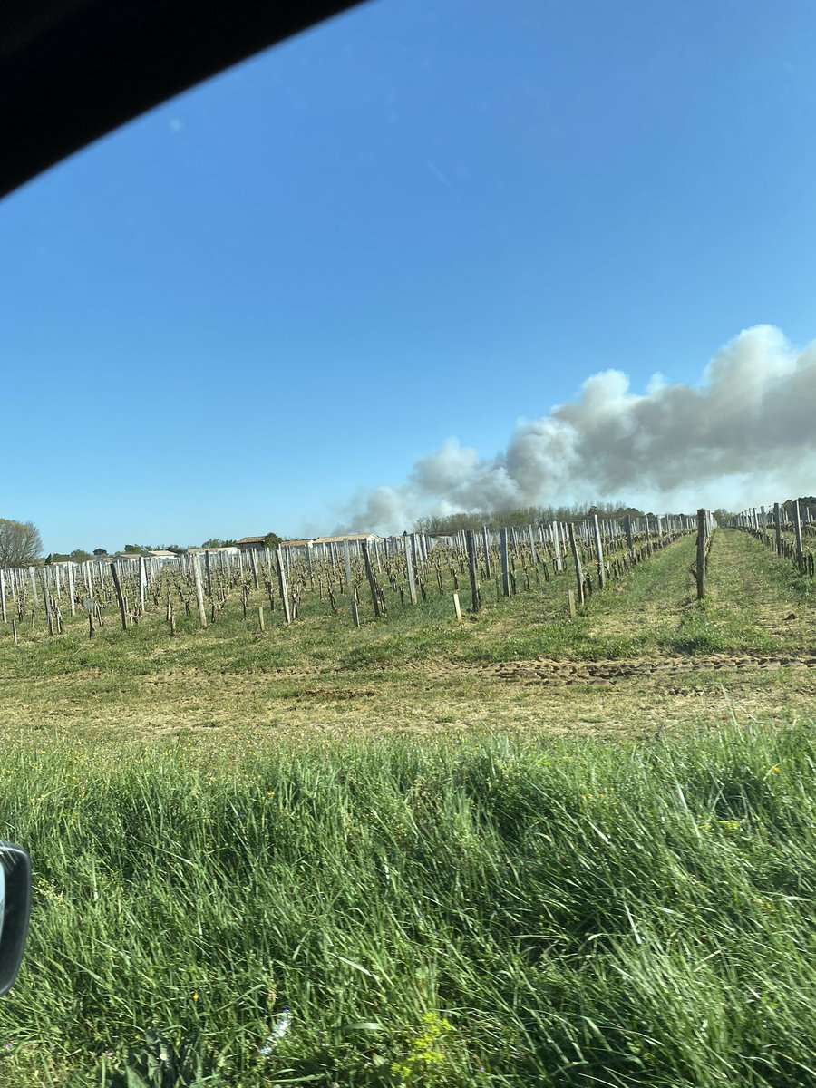 arthekisto's tweet photo. Incendie de forêt en cours secteur Arsac/Avensan ... #incendie @sudouest #arsac #avensan #feu #feuforet #medoc #Gironde https://t.co/YaY0dniMVP