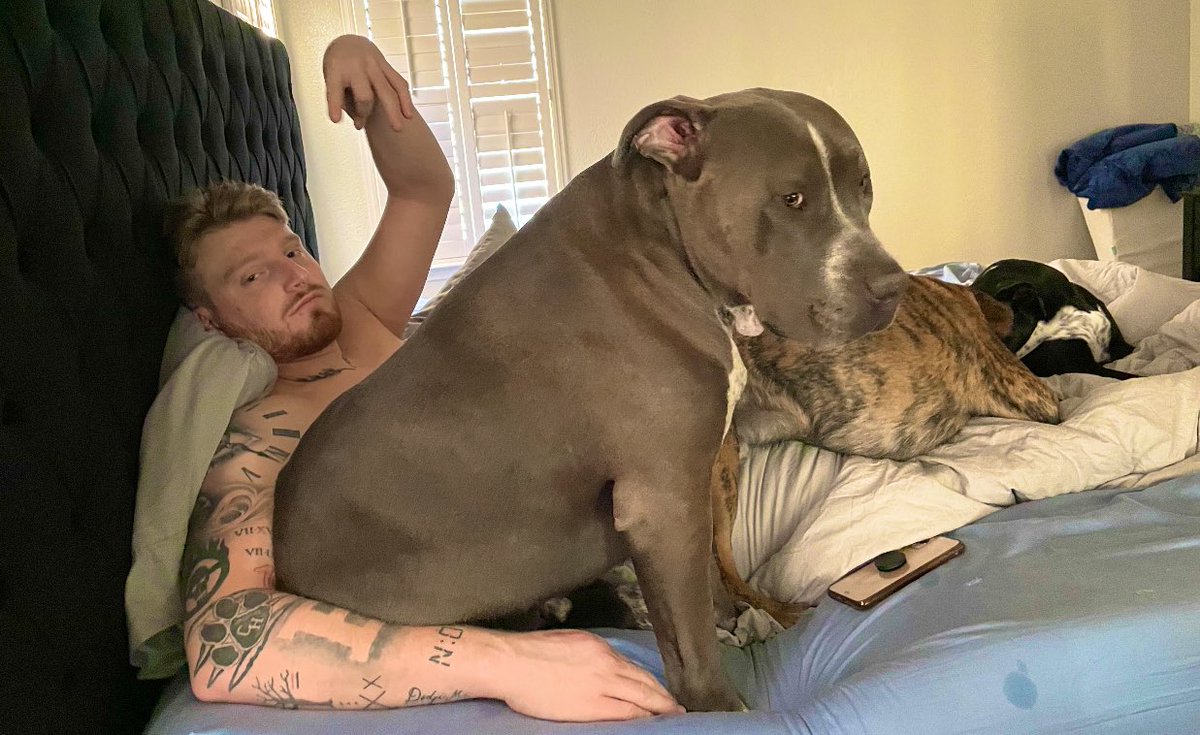 CrosbyMaxx's tweet image. Good Morning Everybody🤦🏼‍♂️😂