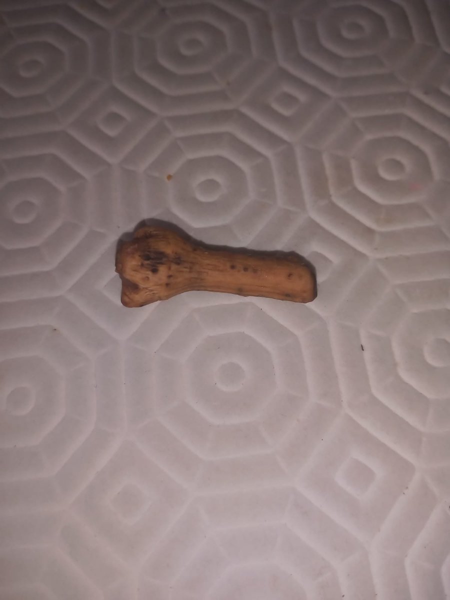 Saski897's tweet photo. @LidlGB my elderly mum today bit into this in a bag of chocolate peanuts!!! About 2.5cm long!!!! https://t.co/xUEBHZRFN7