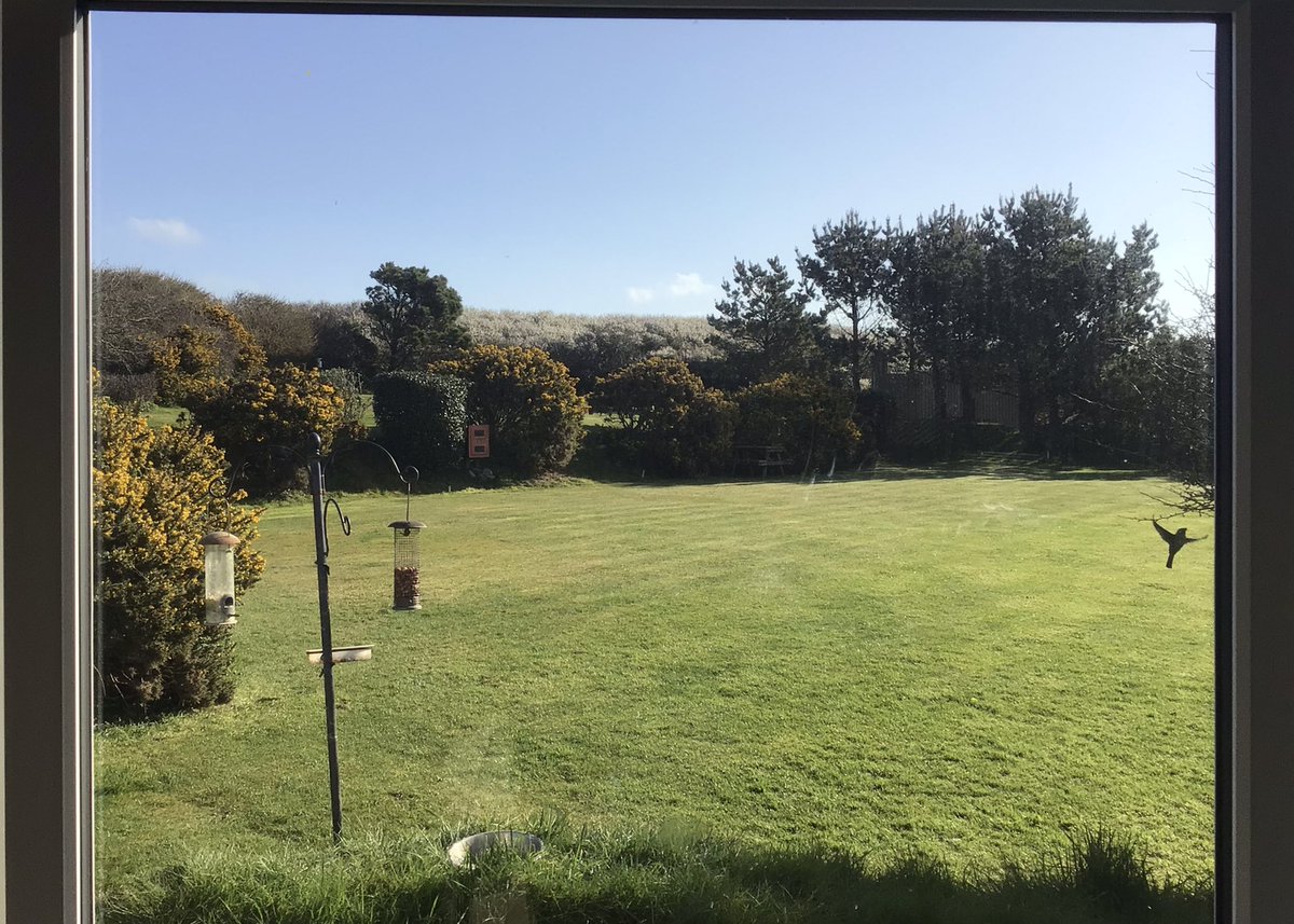 Blue Hills Camping tweet media