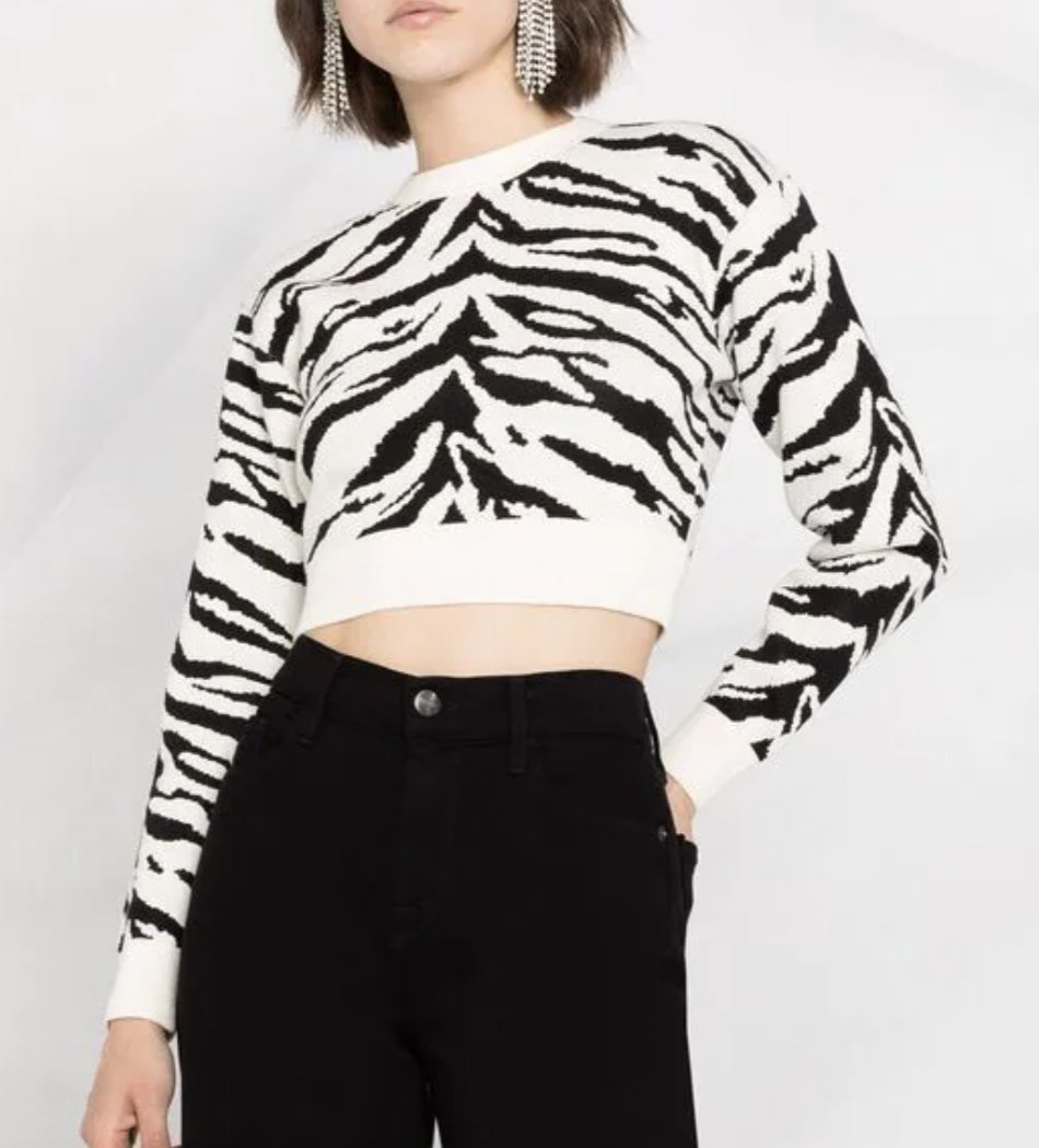 Fashion Express S Tweet 大島優子 さん衣装 4 3 ニノさん 只今放送中の ニノさん Sp 大島優子さん着用アイテム インパクトのあるゼブラ柄が印象的な ショート丈のニットプルオーバー 詳細はこちら ネメシス 衣装 Trendsmap