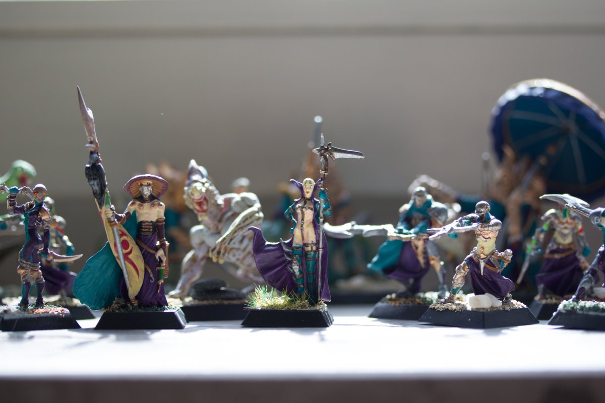 JoleiiRaccoon's tweet photo. Just finished the long forgotten "Lady Claudia Nessalith" from the Alchemists of Dirz of the #miniature game #Confrontation by #Rackham. I've used static grass on the base for the first time. Here's my old army of #Dirz and #Ophidians, never played though. #paintingminiatures https://t.co/8Quj0JFdRq