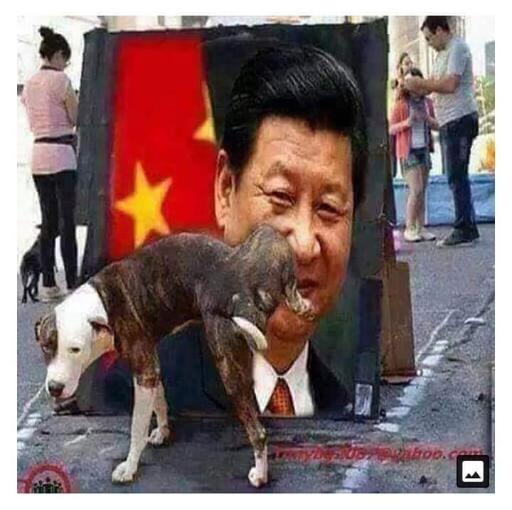 Thakhin Si Thu (@sithu79360949) on Twitter photo 