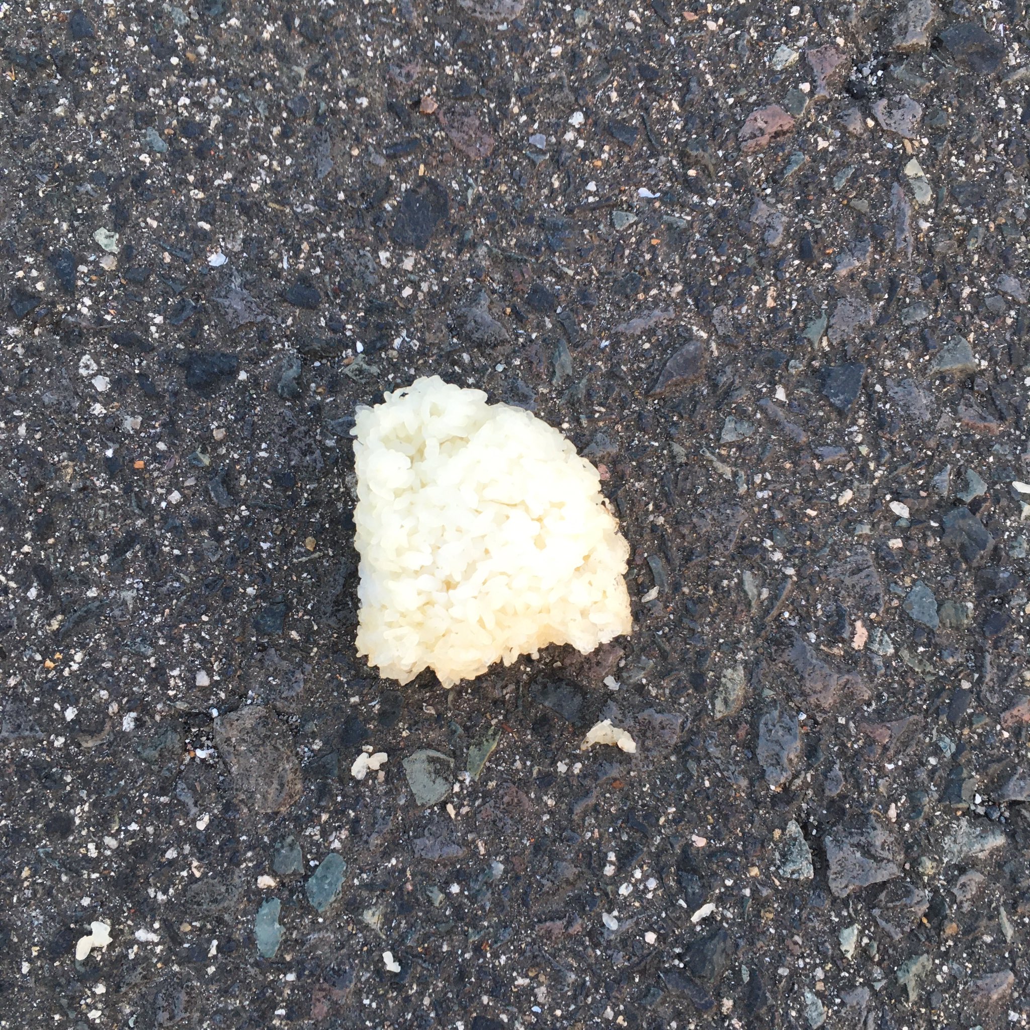 芦屋雁之助 Twitter Search Twitter