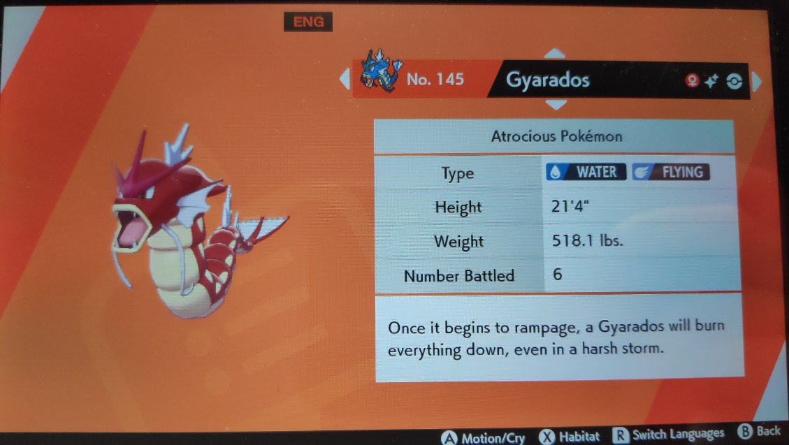 NightyGen's tweet photo. I decided to take little break from Articuno and do some mark hunting in Shield. I wanted Dratini with Fishing Mark, but instead I got myself Rare Mark Feebas and just now Shiny Gyarados! (sadly no mark for this one)
Lucky day!

#shiny #shinypokemon #PokemonSwordandShield https://t.co/J1geMFxCcA